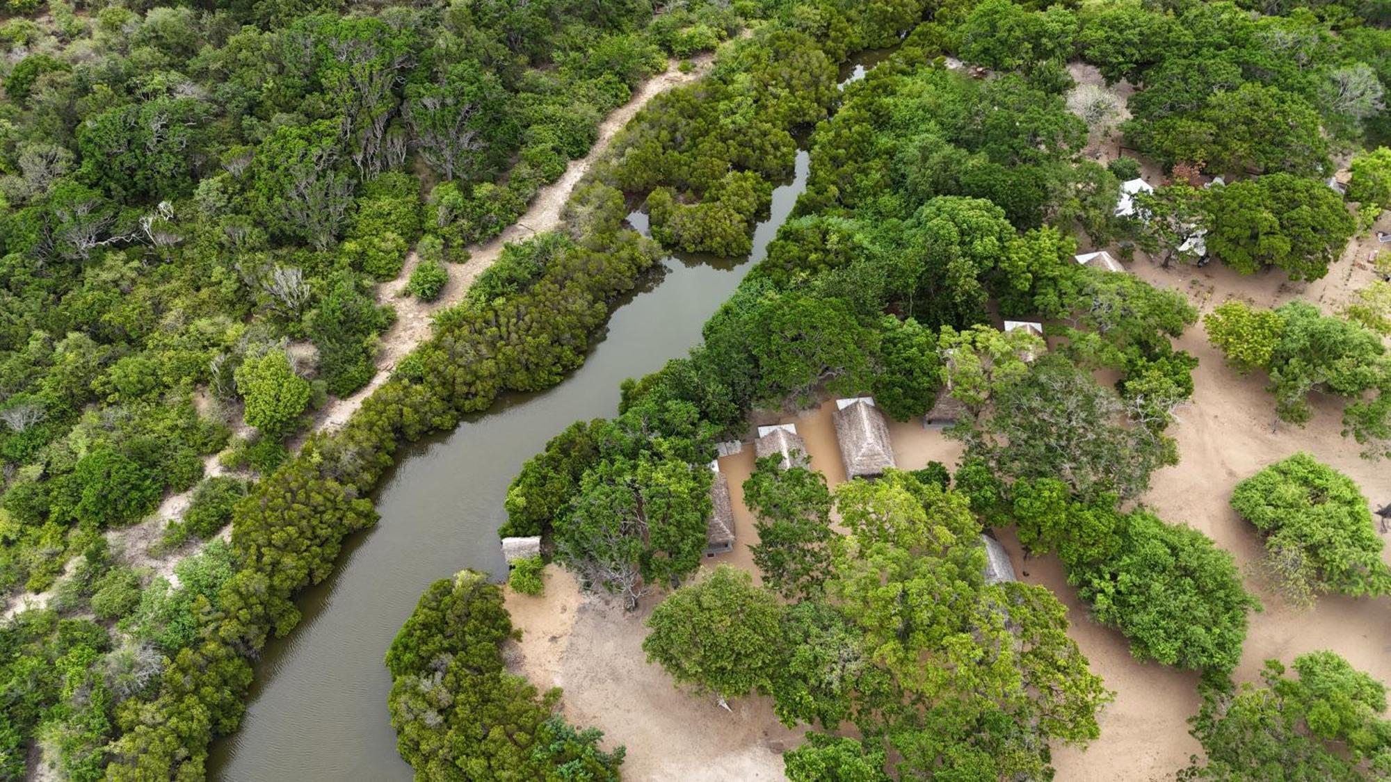 Peanut Farm Surf And Wild Resort - Arugambay Arugam Bay Exteriör bild