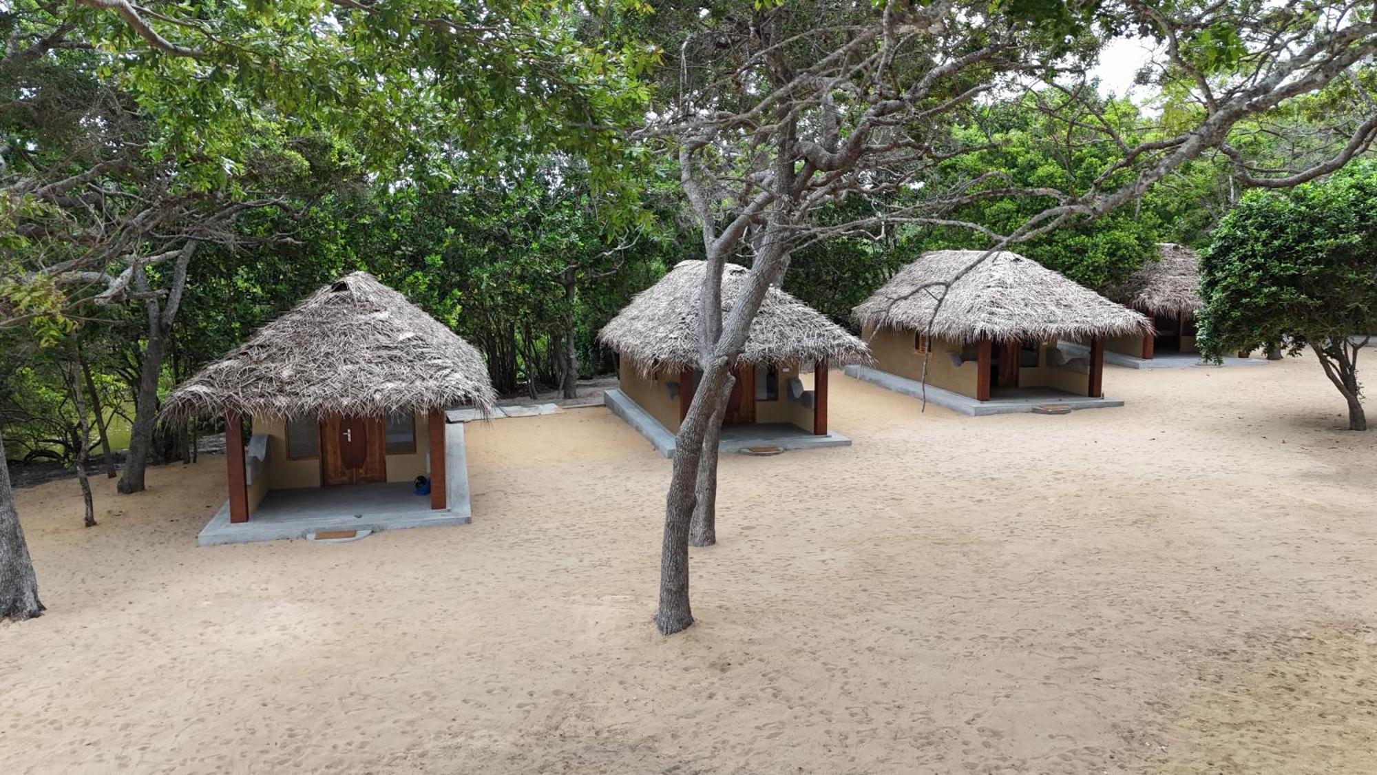 Peanut Farm Surf And Wild Resort - Arugambay Arugam Bay Exteriör bild