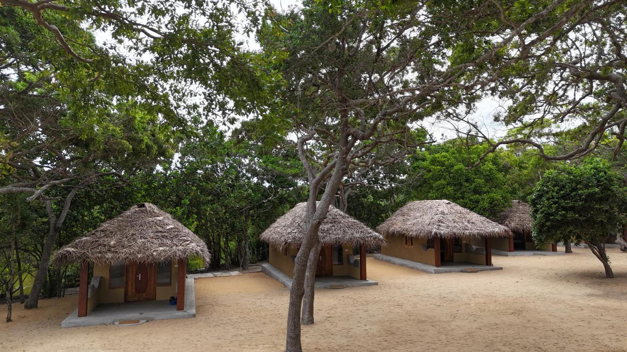 Peanut Farm Surf And Wild Resort - Arugambay Arugam Bay Exteriör bild