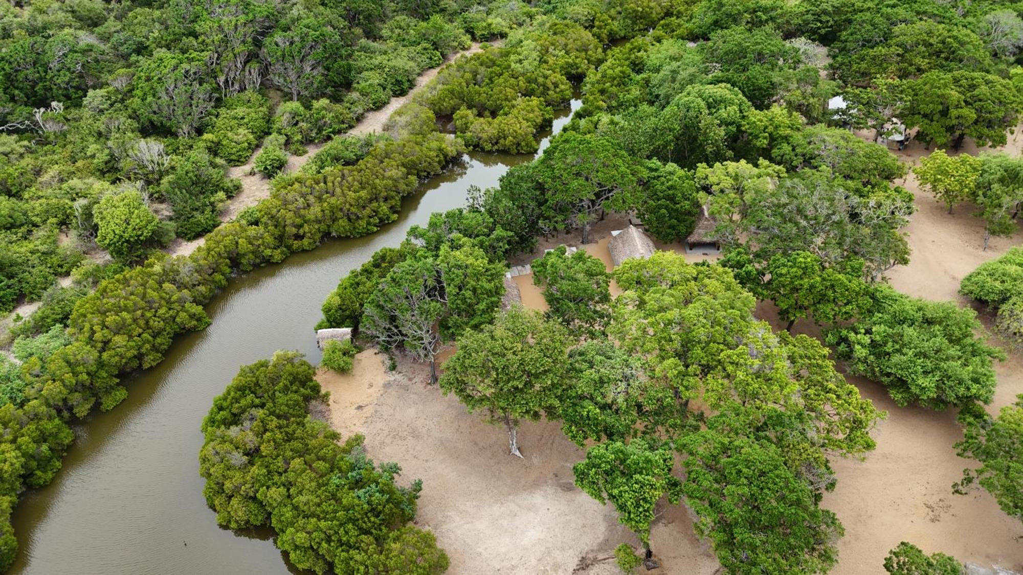 Peanut Farm Surf And Wild Resort - Arugambay Arugam Bay Exteriör bild