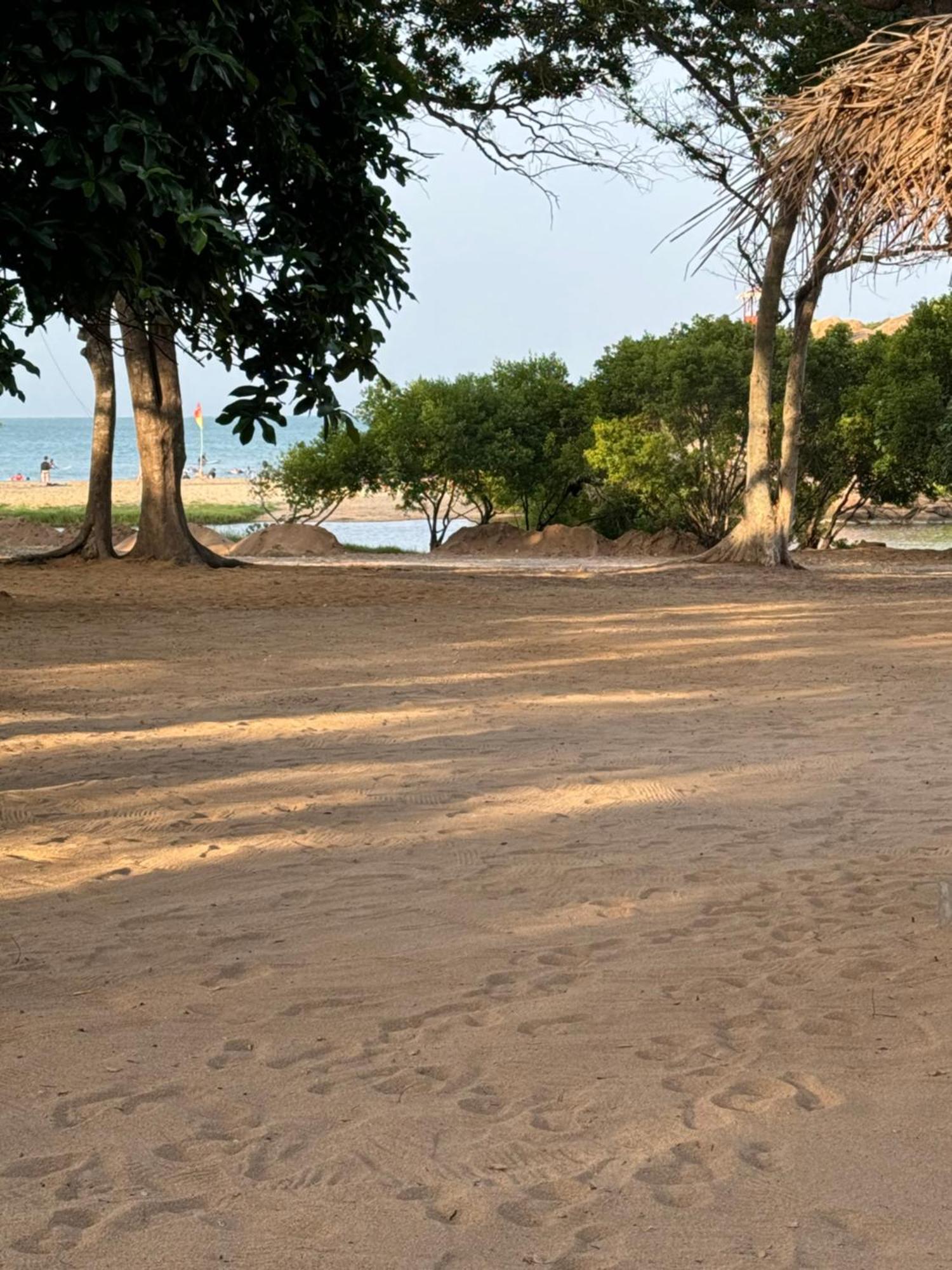 Peanut Farm Surf And Wild Resort - Arugambay Arugam Bay Exteriör bild