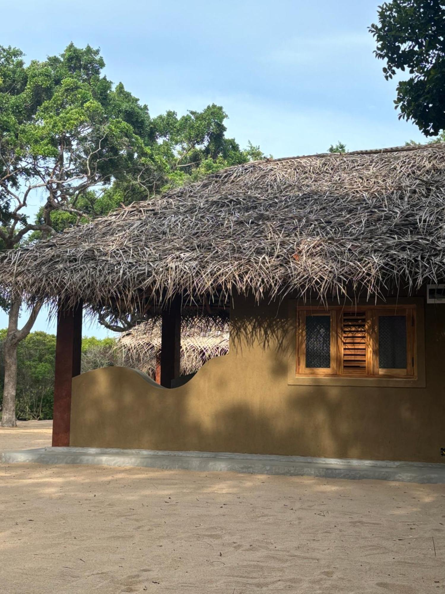 Peanut Farm Surf And Wild Resort - Arugambay Arugam Bay Exteriör bild
