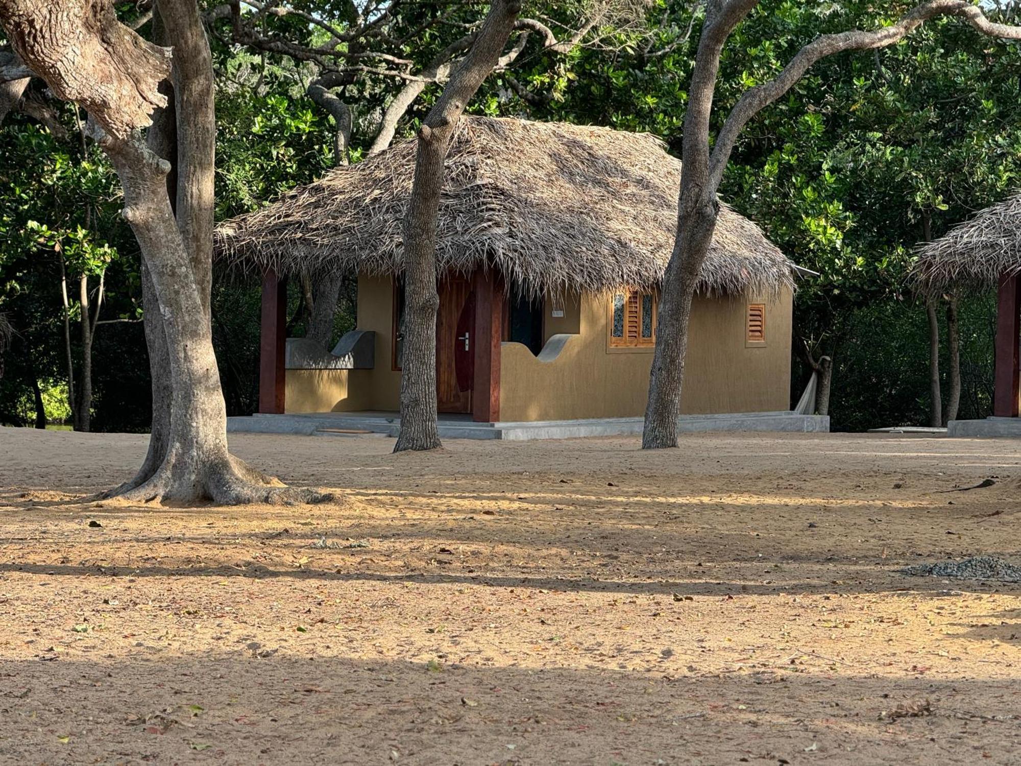 Peanut Farm Surf And Wild Resort - Arugambay Arugam Bay Exteriör bild