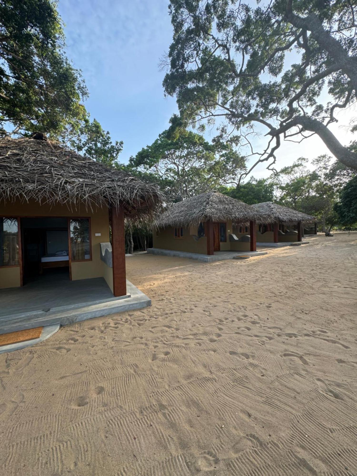 Peanut Farm Surf And Wild Resort - Arugambay Arugam Bay Exteriör bild