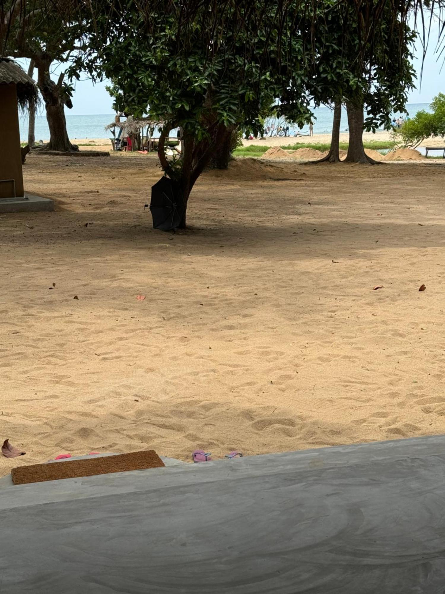 Peanut Farm Surf And Wild Resort - Arugambay Arugam Bay Exteriör bild
