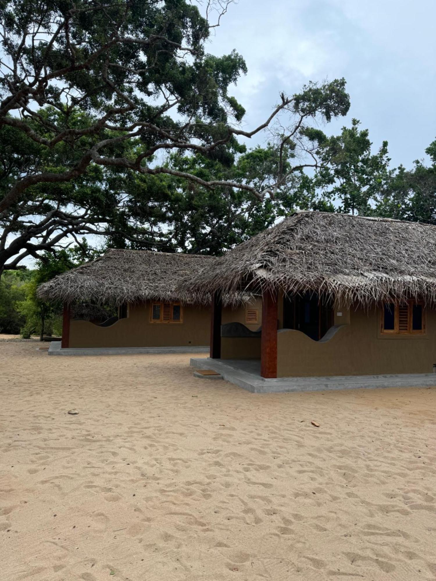 Peanut Farm Surf And Wild Resort - Arugambay Arugam Bay Exteriör bild